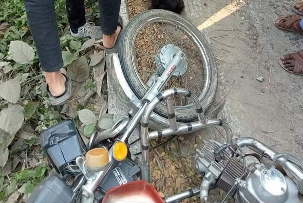 বড়াইগ্রামে মাটিবাহী ট্রাক্টরের চাপায় নিহত ১