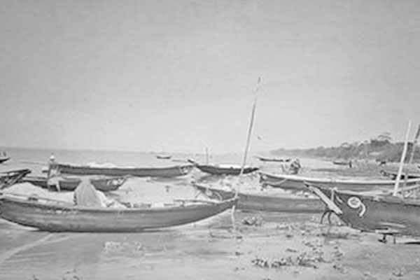 পদ্মা-মেঘনায় দুই মাস মাছ ধরা নিষিদ্ধ