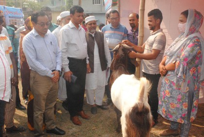 বরিশালে দিনব্যাপী প্রাণিসম্পদ মেলা অনুষ্ঠিত