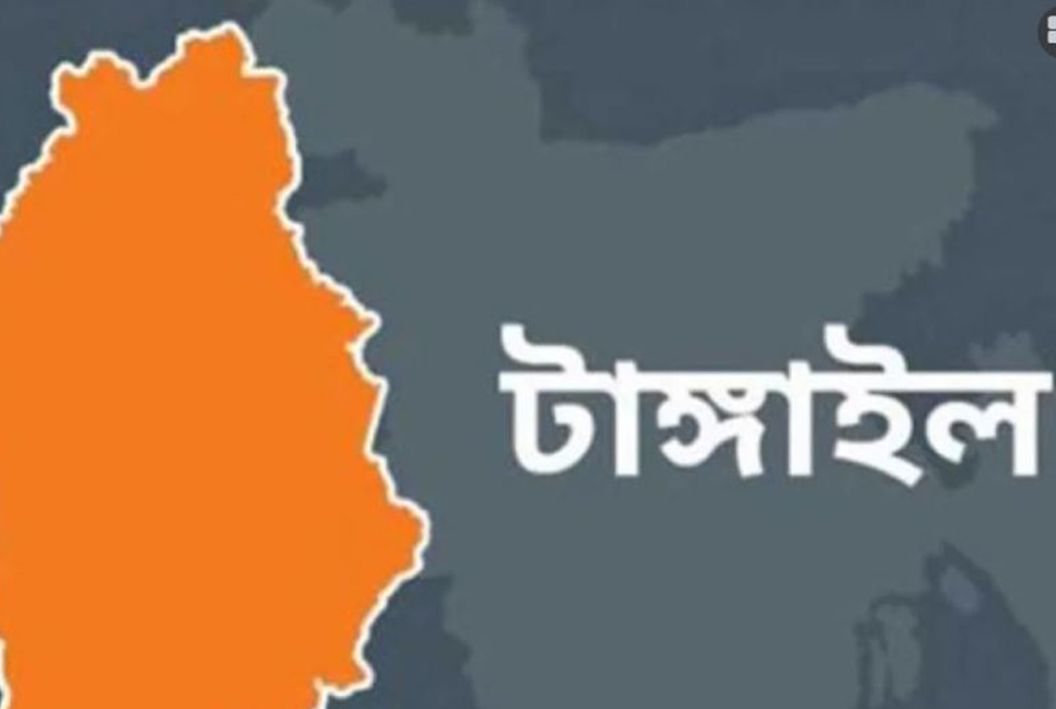 সখীপুরে অবৈধ ১০ করাতকল উচ্ছেদ