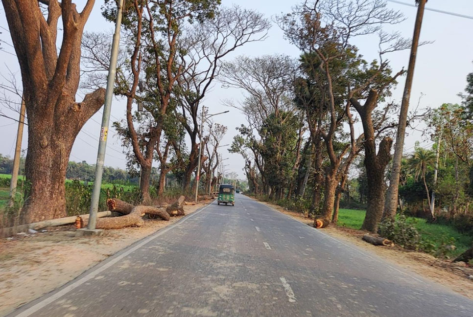 কুমিল্লায় গাছ কাটা ও পরিবেশ দূষণ বন্ধের দাবি