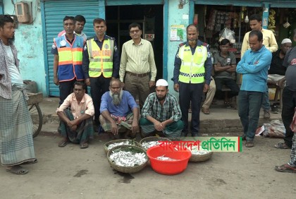 বরিশালে জাটকা বিক্রির দায়ে ৩ মাছ ব্যবসায়ীকে জরিমানা