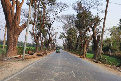 কুমিল্লায় গাছ কাটা ও পরিবেশ দূষণ বন্ধের দাবি