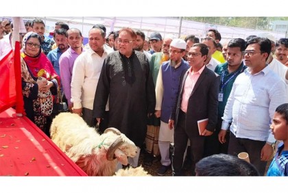 টেকনাফে প্রাণিসম্পদ প্রদর্শনী মেলা অনুষ্ঠিত 