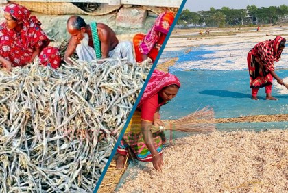 কুয়াকাটার শুটকির সুখ্যাতি দেশজুড়ে
