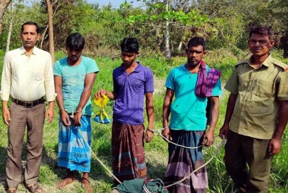 সুন্দরবনে বিষ দিয়ে মাছ শিকার, আটক ৩