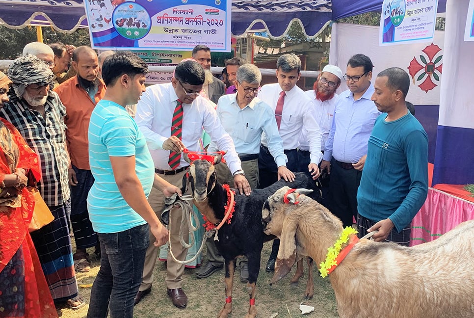 চাঁপাইনবাবগঞ্জে প্রাণিসম্পদ প্রদর্শনী উদ্বোধন