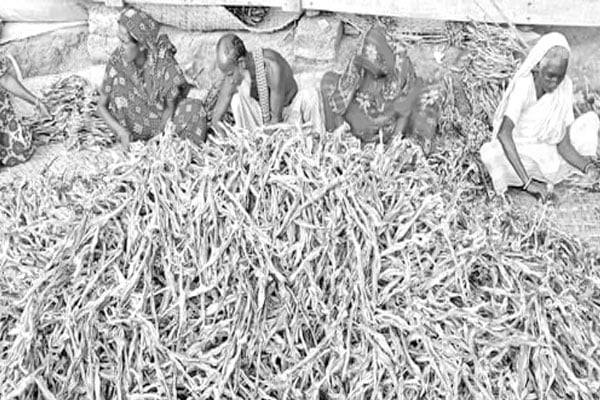 কুয়াকাটার শুঁটকির সুখ্যাতি