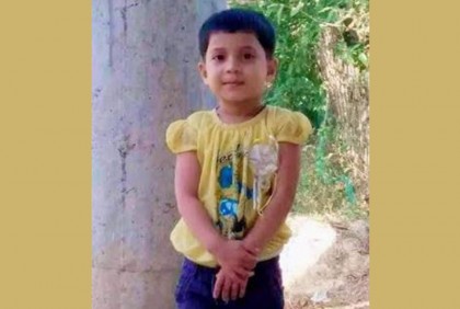 নিজ বাড়িতে লোহার গেট চাপায় প্রাণ গেল শিশুর