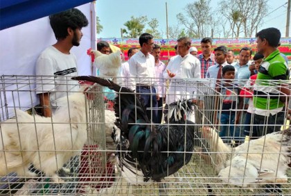 টুঙ্গিপাড়ায় প্রাণিসম্পদ প্রদর্শনী অনুষ্ঠিত