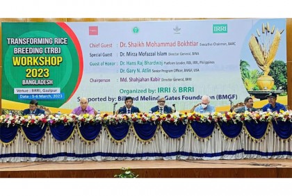 বাংলাদেশ ধান গবেষণা ইনস্টিটিউটে কর্মশালা