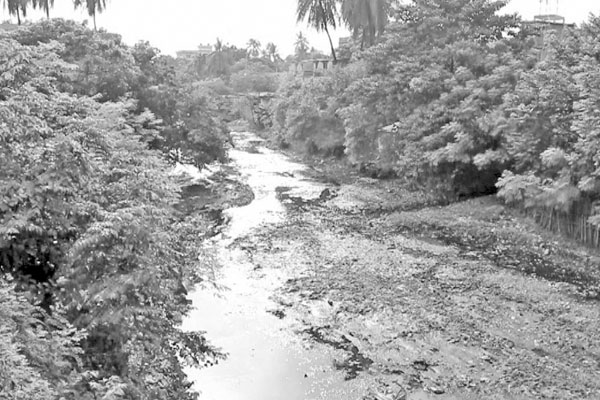 মুখ থুবড়ে পড়েছে ইছামতী খনন