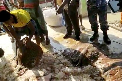 কলাপাড়ায় ৭ শাপলাপাতা মাছ জব্দ