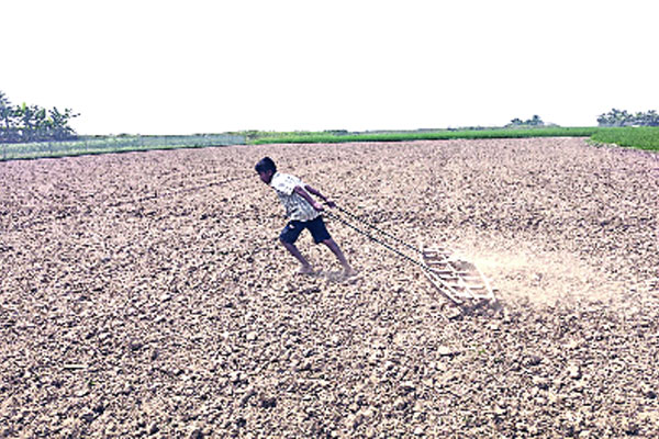 সংসারের জোয়াল কাঁধে শিশু