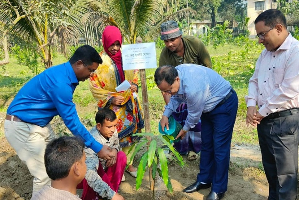 রংপুরে দেশি-বিদেশি ২৩ জাতের আমের সমন্বয়ে জার্মপ্লাজম শুরু 