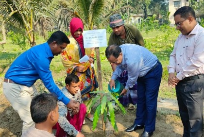 রংপুরে দেশি-বিদেশি ২৩ জাতের আমের সমন্বয়ে জার্মপ্লাজম শুরু 