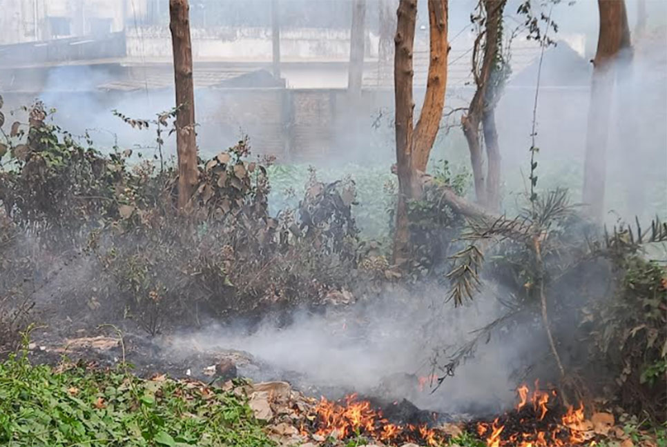 কালিয়াকৈরে শাল-গজারি বনে আগুন