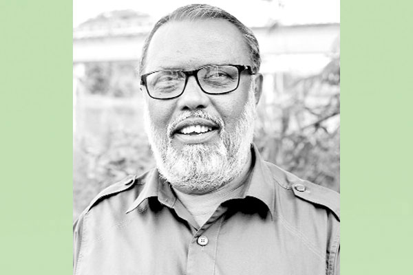 অর্গানিক মুরগির খামার