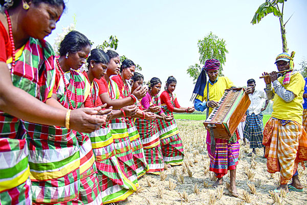 বাহা উৎসবে সাঁওতালরা