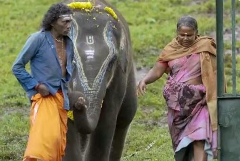 অস্কার জিতলো তামিল ছবি ‘দি এলিফ্যান্ট হুইস্পারার্স’

