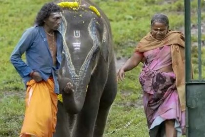 অস্কার জিতলো তামিল ছবি ‘দি এলিফ্যান্ট হুইস্পারার্স’

