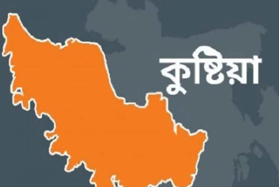 চাচাতো ভাইয়ের বটির আঘাতে ভাই খুন