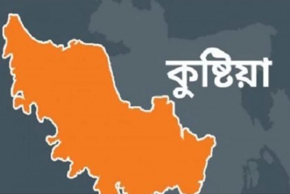 চাচাতো ভাইয়ের বটির আঘাতে ভাই খুন