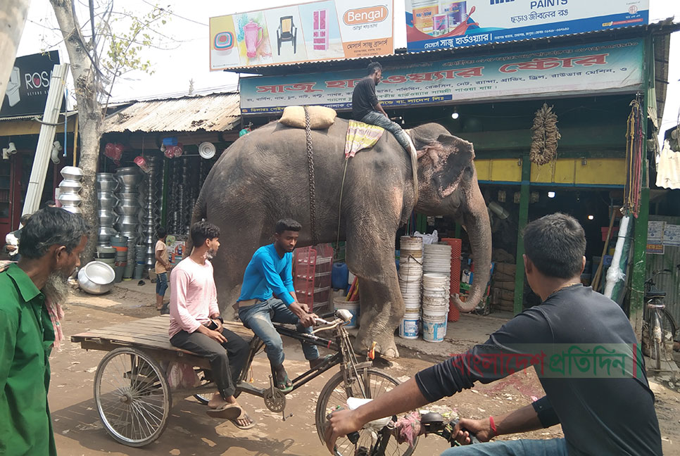 তারাগঞ্জে হাতি নিয়ে চাঁদাবাজি