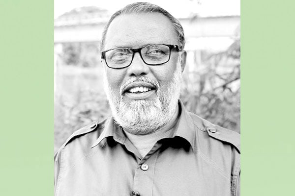 পিঁয়াজবীজের চাষ সম্প্রসারণ ঠাকুরগাঁওয়ে