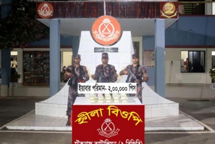 নাফনদীতে বিজিবির অভিযানে দুই লাখ পিস ইয়াবা উদ্ধার