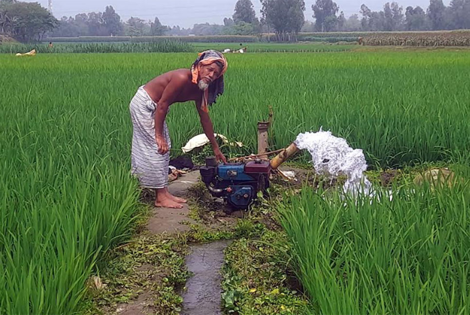 নদীর বুকে শ্যালো মেশিনের 
উত্তোলিত পানিতে সেচ 