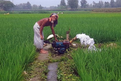 নদীর বুকে শ্যালো মেশিনের 
উত্তোলিত পানিতে সেচ 