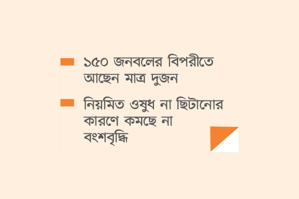 মশার যন্ত্রণায় অতিষ্ঠ সিলেটবাসী