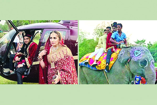 হেলিকপ্টার ও হাতি নিয়ে বিয়ে