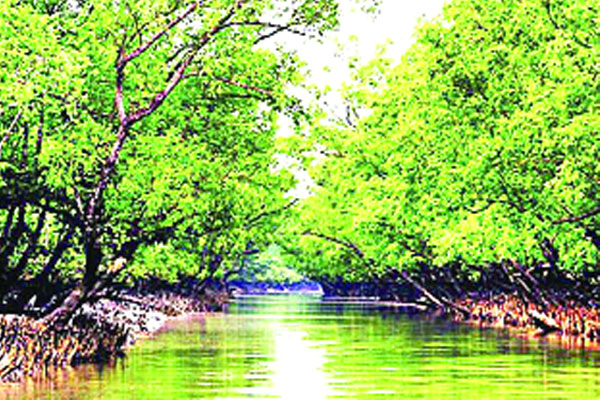 ভালো নেই সুন্দরবন