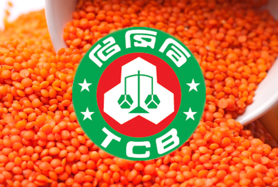 টিসিবির জন্য ৮ হাজার টন মসুর ডাল কিনবে সরকার

