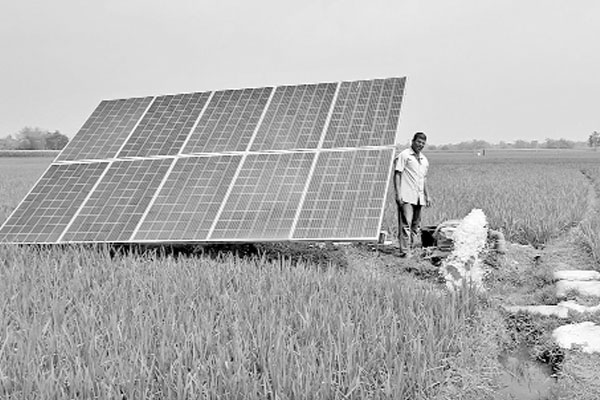 সোলার পাম্পে কৃষকের হাসি