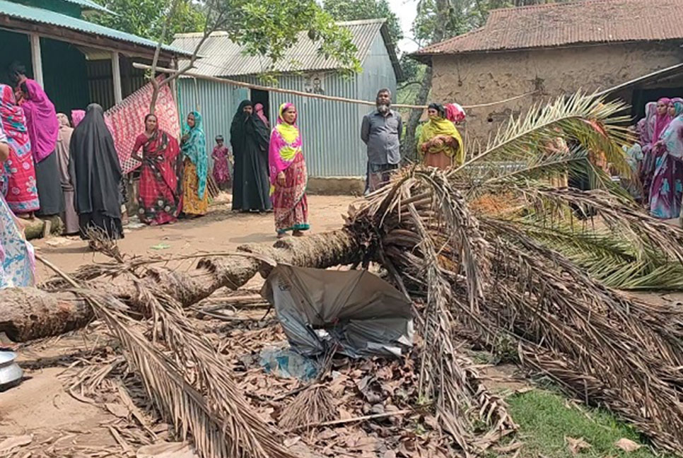 ভালুকায় খেজুর গাছ চাপায় প্রাণ গেল গৃহবধূর