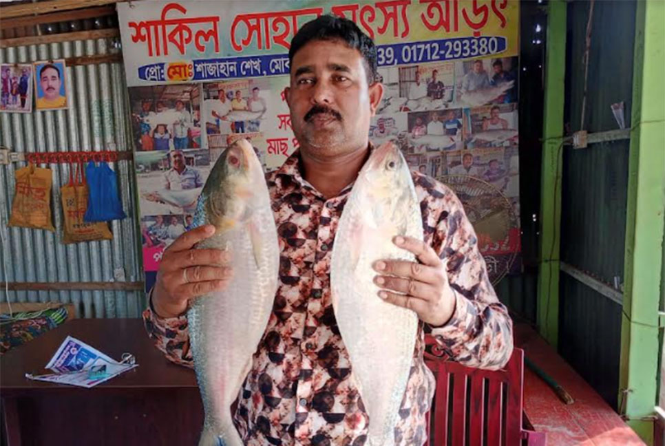 পদ্মার দুই ইলিশ ১৭ হাজারে বিক্রি
