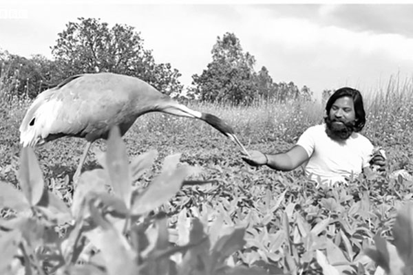 প্রাণের বন্ধু সেই সারসটিকে হারালেন আরিফ