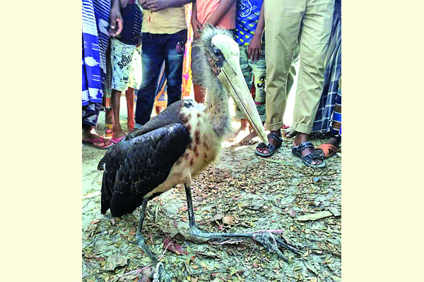 বিলুপ্ত মদনটাক উদ্ধার