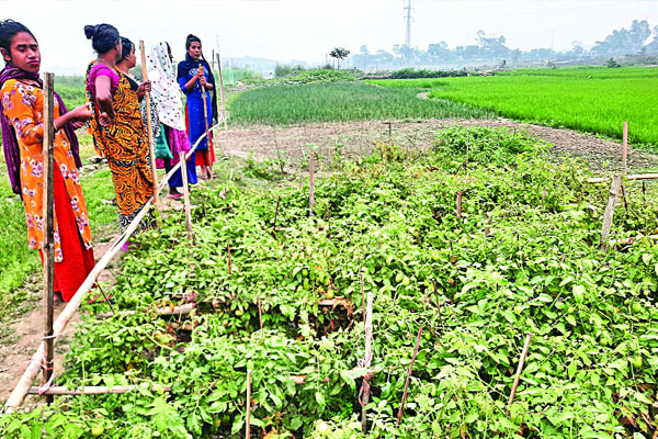 ভাগ্যবদলের লড়াইয়ে তৃতীয় লিঙ্গের মানুষ