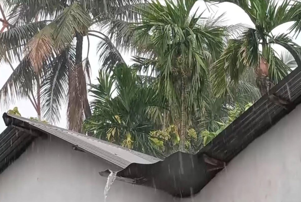 ঝিনাইদহের শৈলকুপায় কালবৈশাখী ঝড়-শিলাবৃষ্টিতে ফসলের ক্ষতি