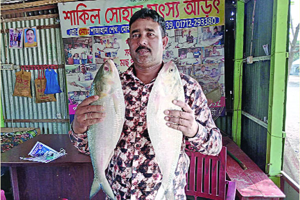 দুটি ইলিশ বিক্রি ১৭ হাজার টাকায়