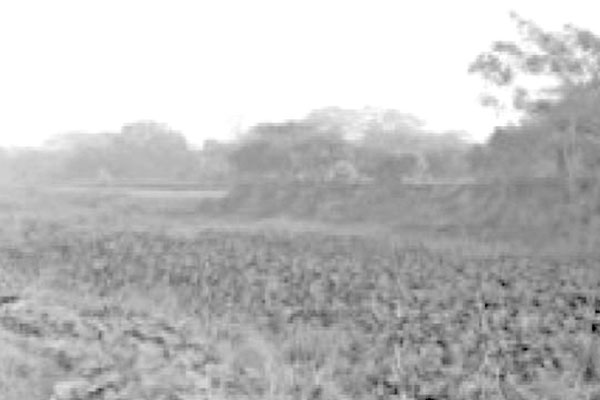পানি নেই খিরাই নদীতে, হাজার একর জমি অনাবাদি