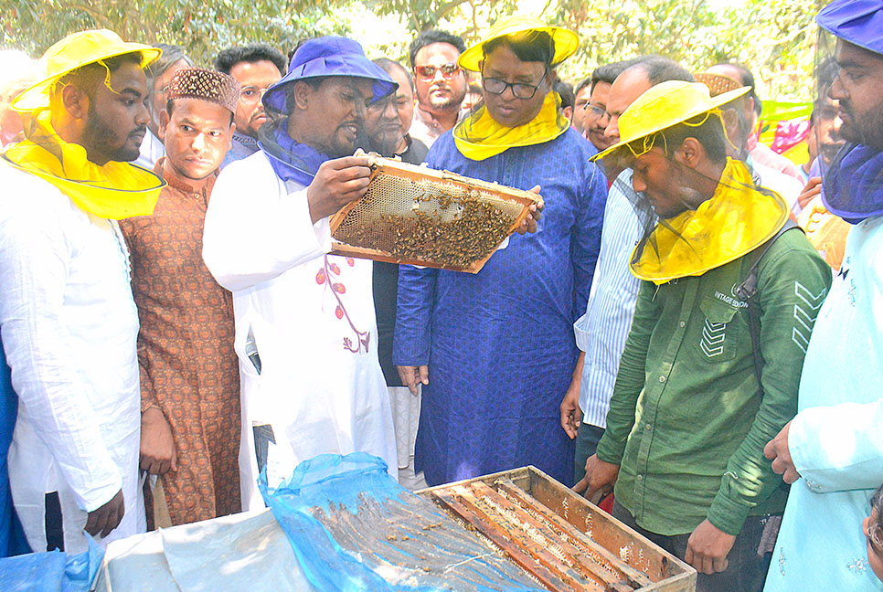 প্রবৃদ্ধিতে সহায়ক ভূমিকা পালন করবে মধু : হুইপ ইকবালুর রহিম
