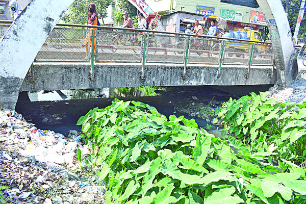 মশা-মাছি ধুলায় অতিষ্ঠ রংপুরবাসী