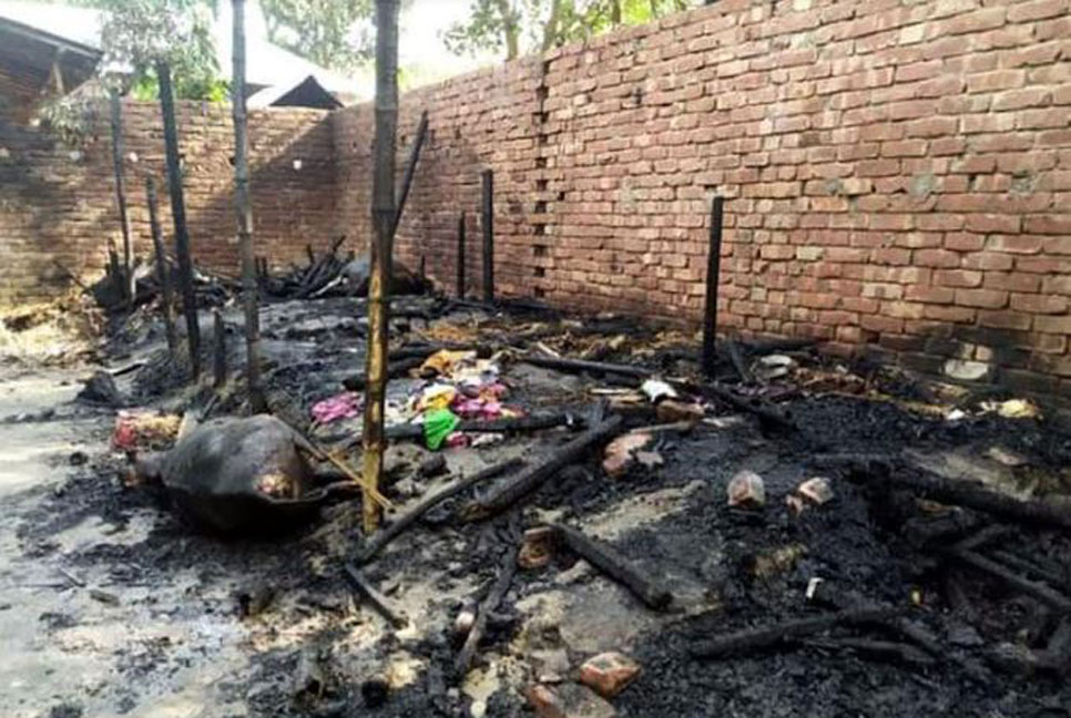 কয়েলের আগুনে 
পুড়লো গবাদি পশুসহ ঘর