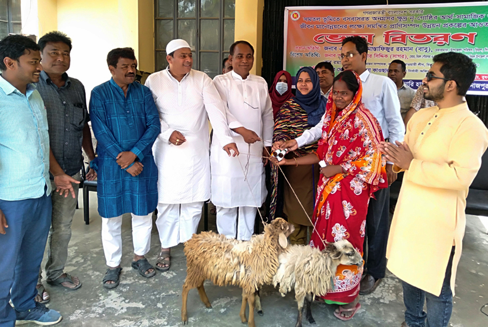 বিরলে ২৩৭ পরিবারের মাঝে ভেড়া বিতরণ