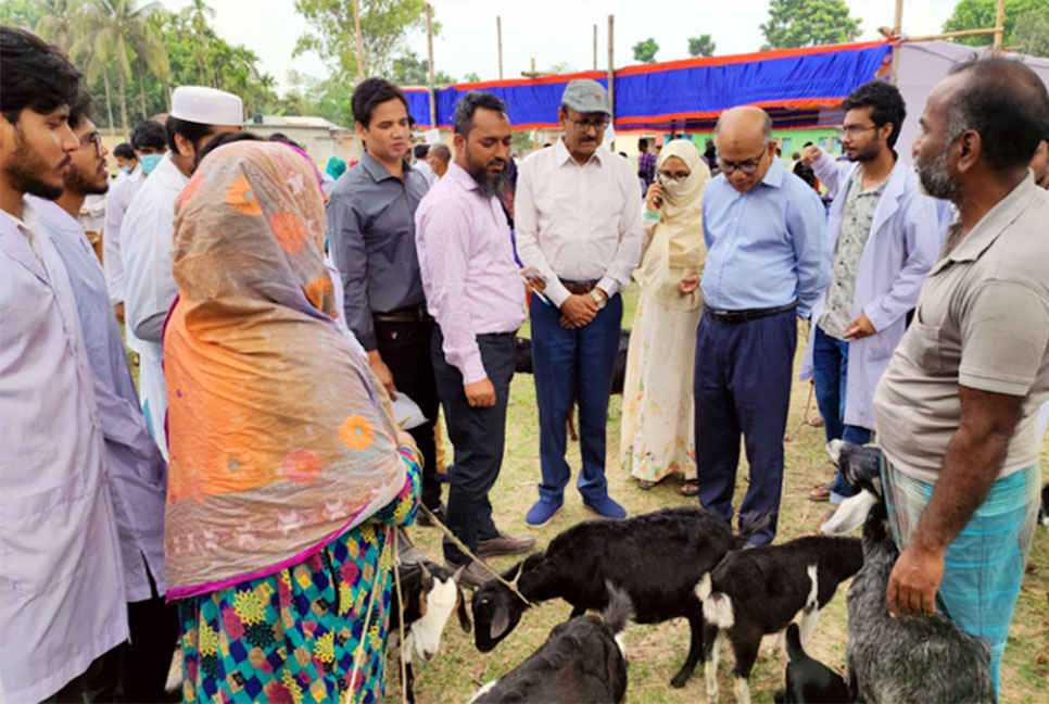 হাবিপ্রবিতে ভেটেরিনারি টিচিং হাসপাতালের পক্ষ থেকে 
৪৫২টি প্রাণীকে চিকিৎসা সেবা প্রদান 